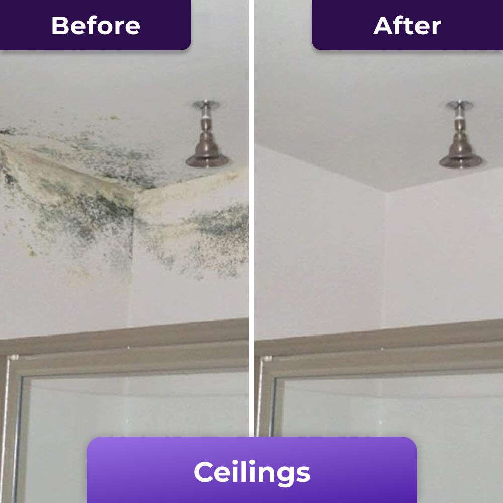 PurioClean image
